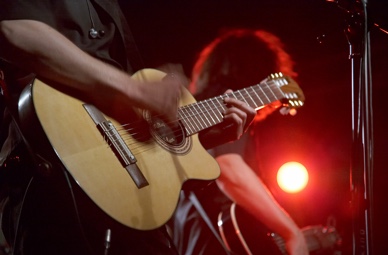 Mariachi Fiesta – Ruby’s Tequila