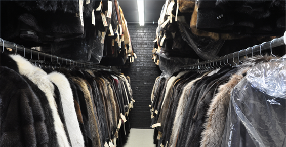 Summer Storage at Marcella Furs & Leather