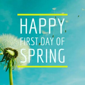 raffkinds cleaning sale